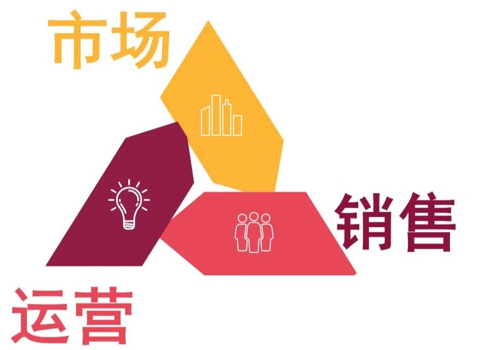 互联网销售 连接、转化与增长的策略核心